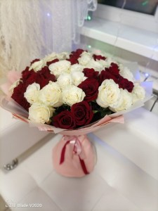 IMG-20220110-WA0027